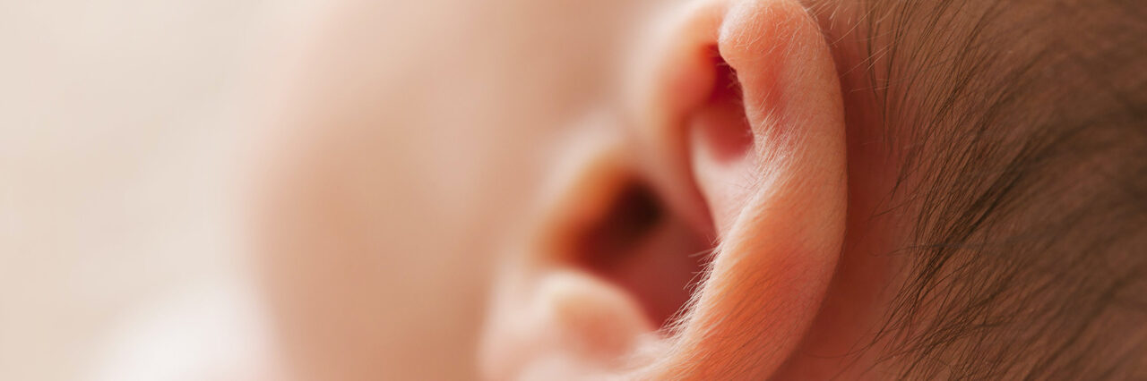 Closeup of a baby's ear